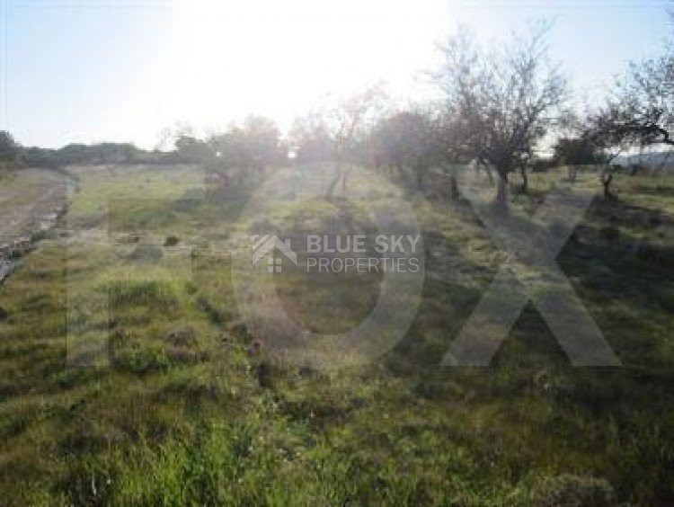 Land For Sale In Apsiou Limassol Cyprus