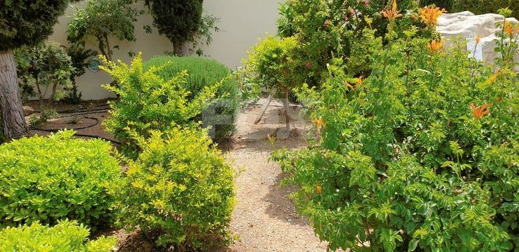 Three bedroom apartment for rent on Aphrodite Hills, Paphos