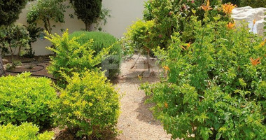 Three bedroom apartment for rent on Aphrodite Hills, Paphos