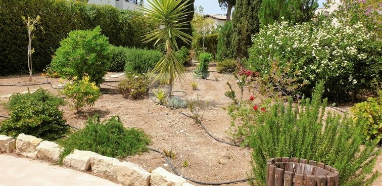 Three bedroom apartment for rent on Aphrodite Hills, Paphos