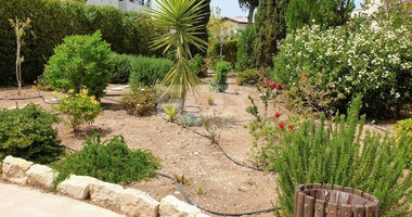 Three bedroom apartment for rent on Aphrodite Hills, Paphos