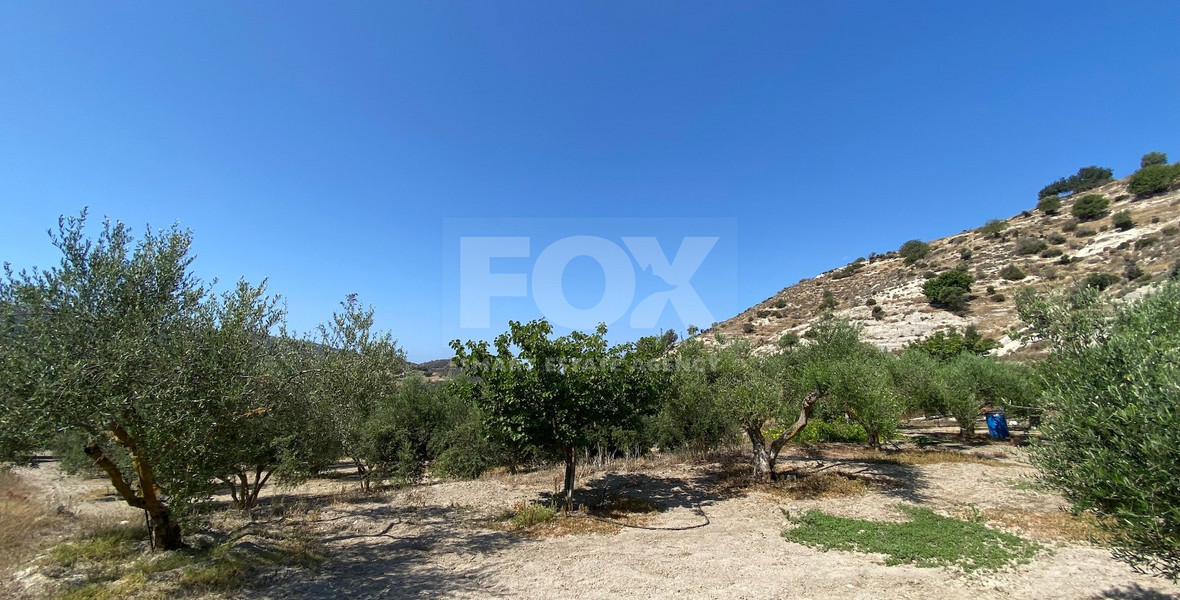 Land for sale in Pissouri Limassol