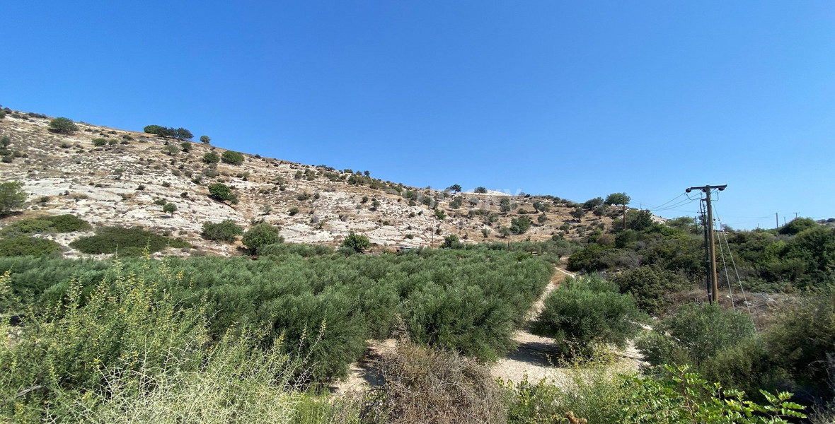 Land for sale in Pissouri Limassol