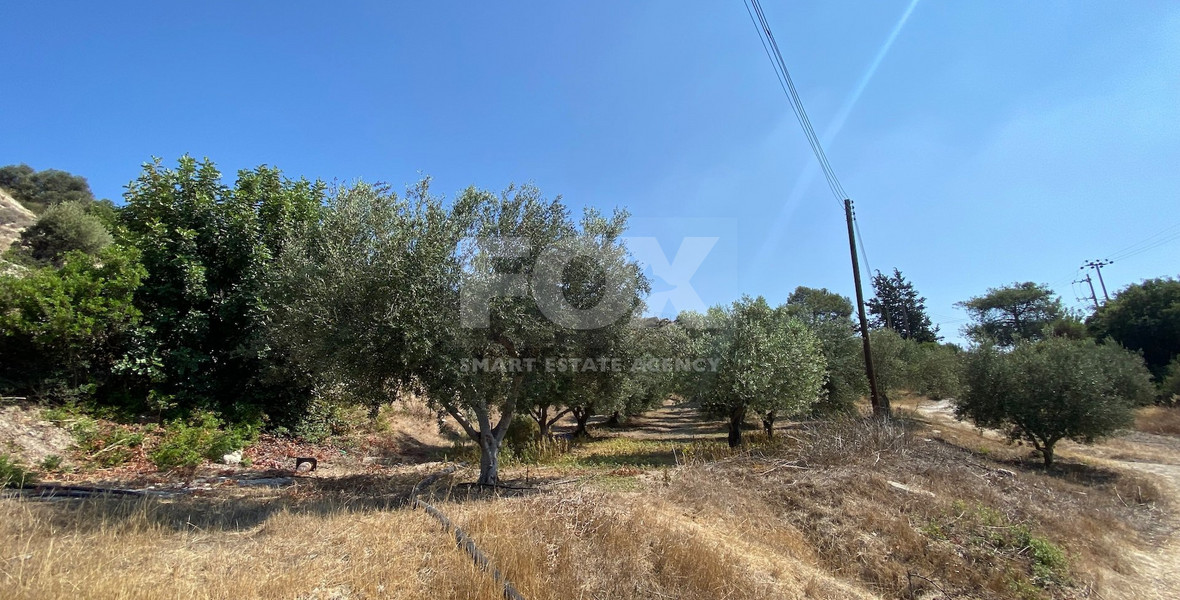 Land for sale in Pissouri Limassol