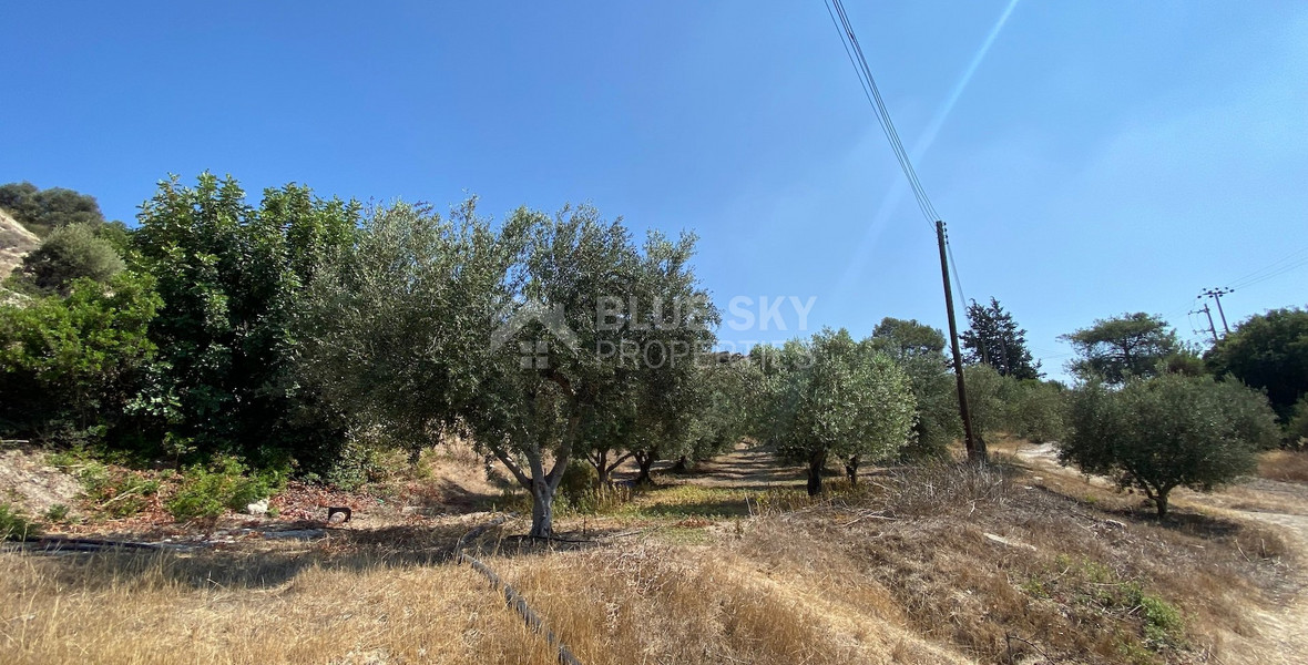 Land for sale in Pissouri Limassol