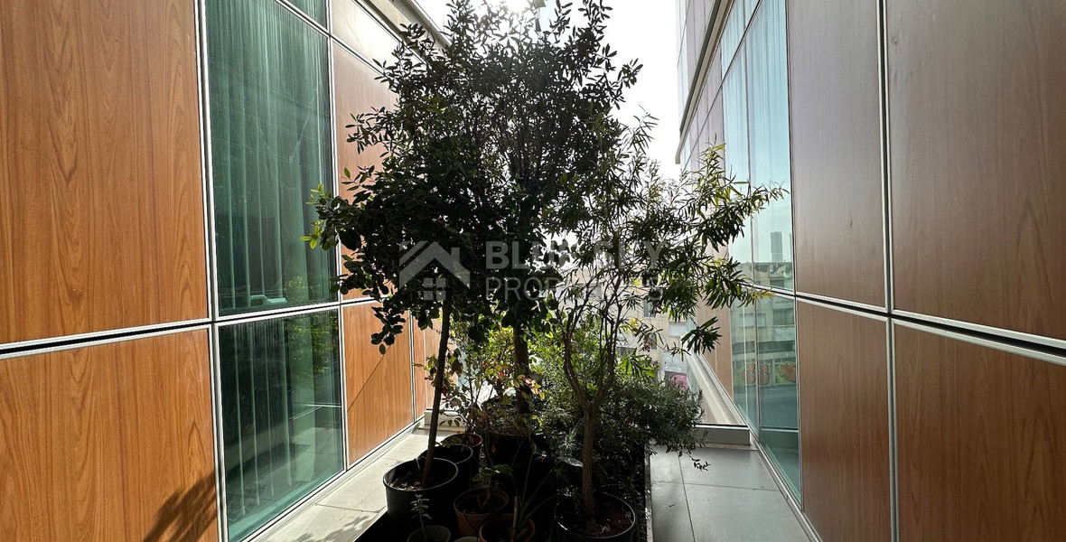 Luxury offices for sale in Mesa Geitonia