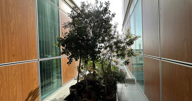 Luxury offices for sale in Mesa Geitonia