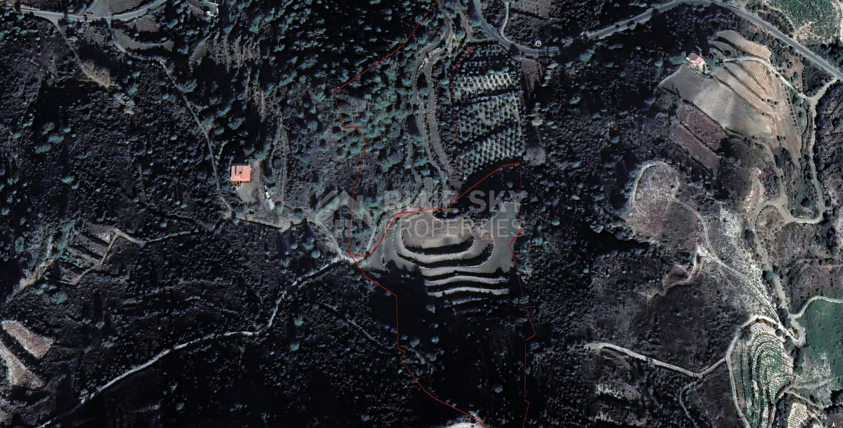 Huge Agricultural Land For Sale Near Omodos  Village