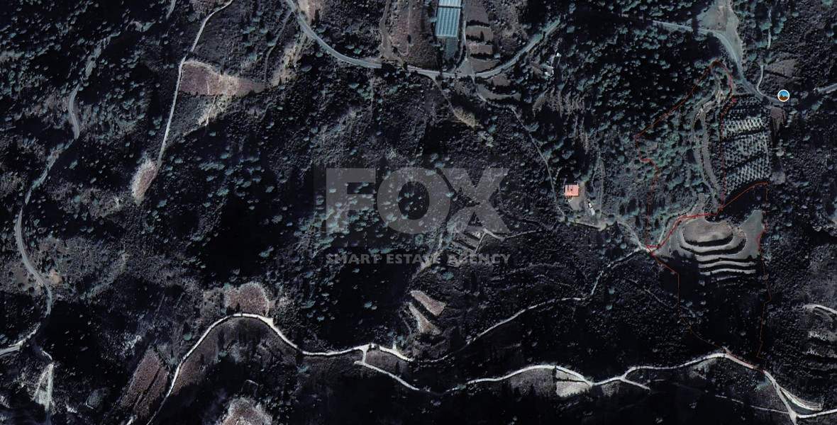 Huge Agricultural Land For Sale Near Omodos  Village