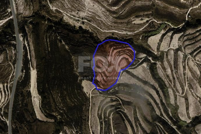 Agricultural land in Tsada