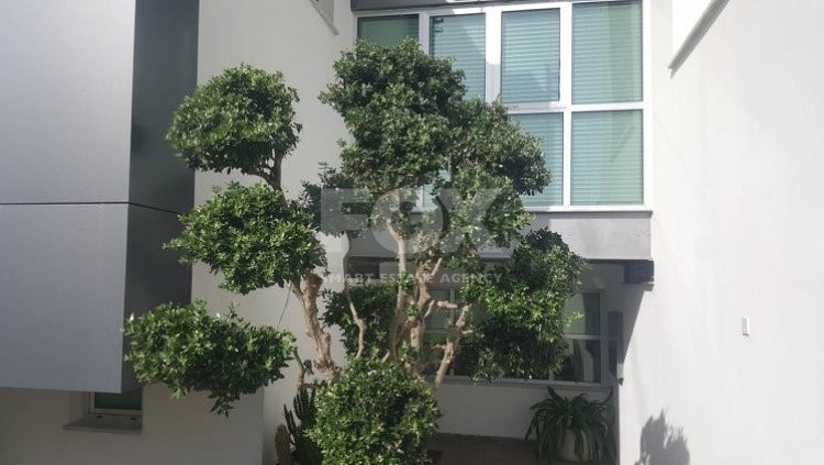 3 Bed House For Rent In Episkopi Lemesou Limassol Cyprus