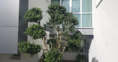 3 Bed House For Rent In Episkopi Lemesou Limassol Cyprus