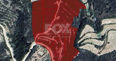 Unique Land for sale in Agios Mamas, Limassol