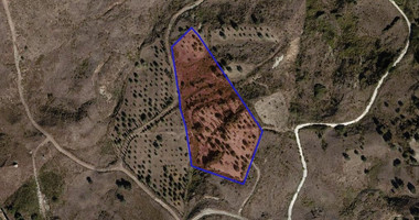 Large agricultural land in Lasa