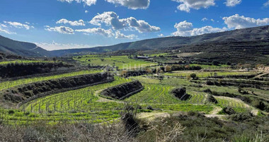 Land for sale in Agios Amvrosios, Limassol