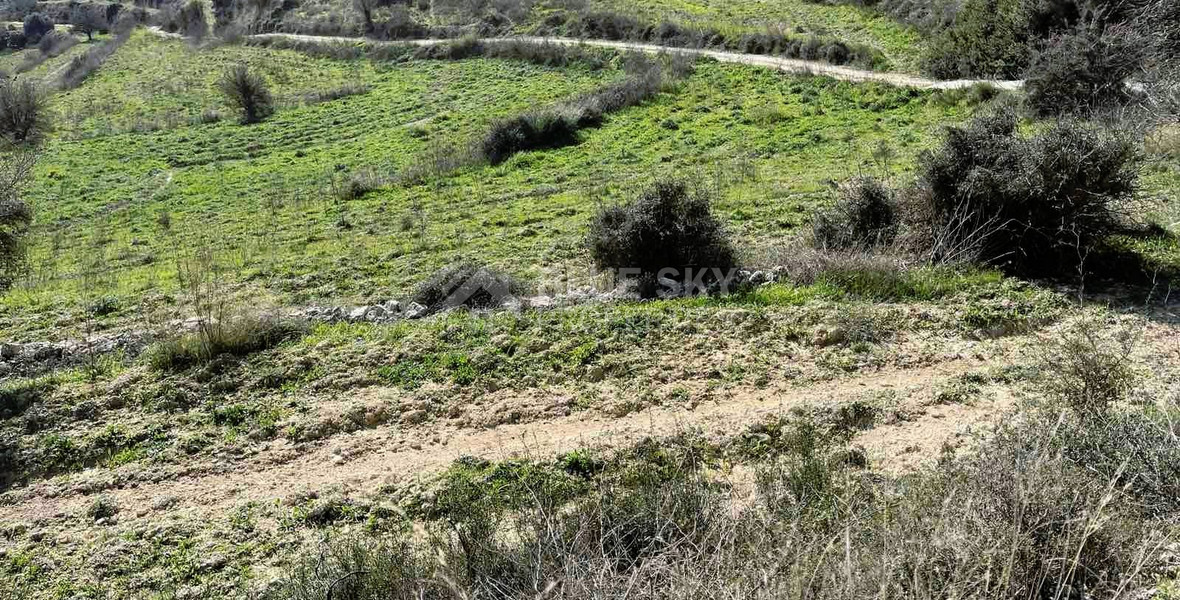 Agricultural land for sale in Agios Amvrosios, Limassol