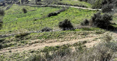 Agricultural land for sale in Agios Amvrosios, Limassol