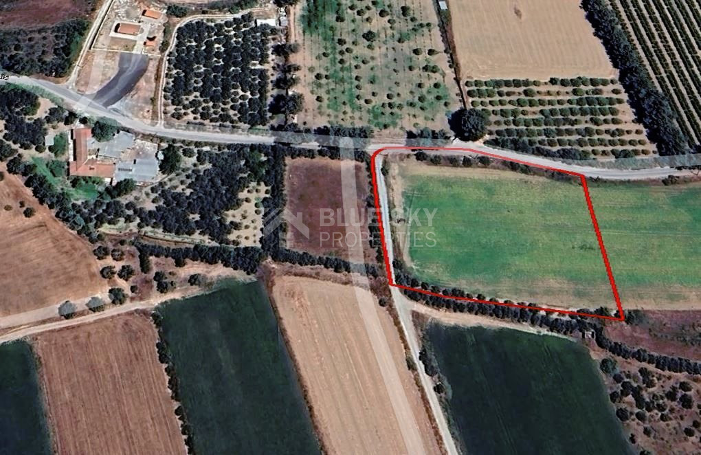 Big Agricultural Land For Sale In Agios Loukas, Kolossi