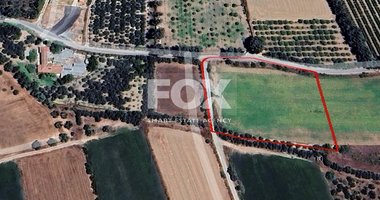 Big Agricultural Land For Sale In Agios Loukas, Kolossi