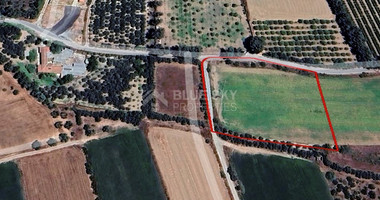 Big Agricultural Land For Sale In Agios Loukas, Kolossi