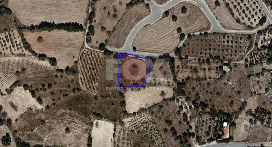 Residential plot in Lasa village, Paphos district