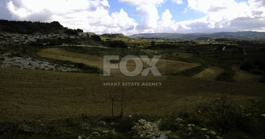 Large agricultural land in Kourdaka village