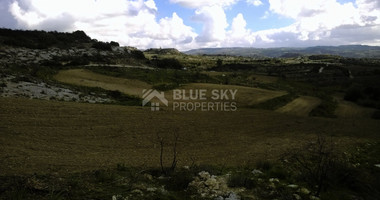 Large agricultural land in Kourdaka village