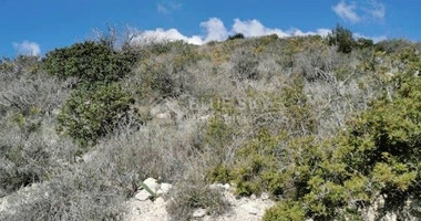 Land for sale in Kapileio village, Limassol