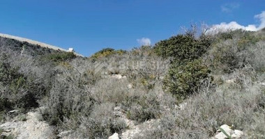 Land for sale in Kapileio village, Limassol