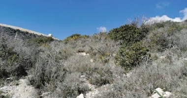 Land for sale in Kapileio village, Limassol