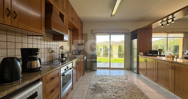 LOVELY THREE BEDROOM DETACHED HOUSE FOR SALE IN PALODIA