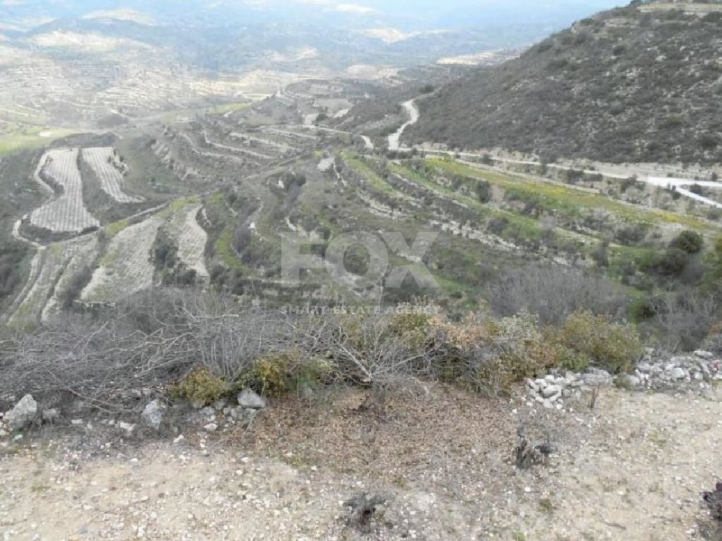 Agriculture land for sale in Pachna village, Limassol