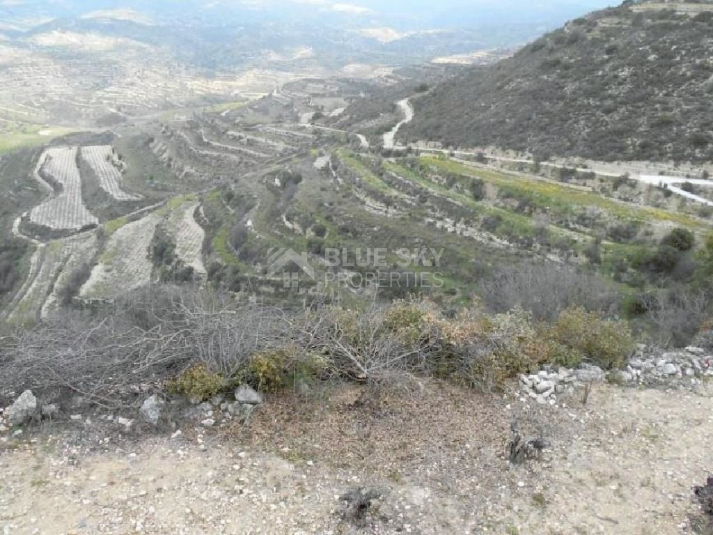 Agriculture land for sale in Pachna village, Limassol