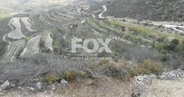 Agriculture land for sale in Pachna village, Limassol