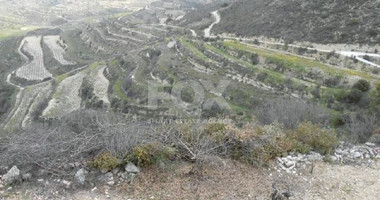 Agriculture land for sale in Pachna village, Limassol