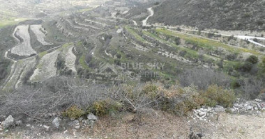 Agriculture land for sale in Pachna village, Limassol