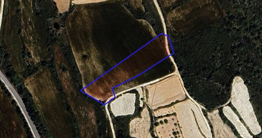 Agricultural land in Kathikas