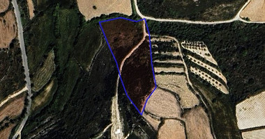 Agricultural land in Kathikas