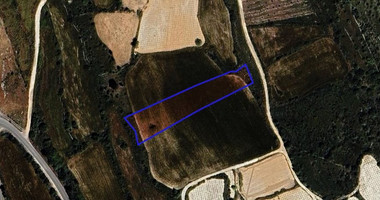 Agricultural land in Kathikas