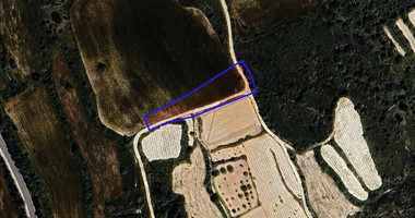 Agricultural land in Kathikas