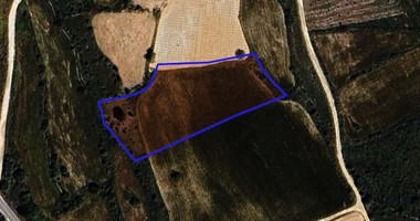 Agricultural land in Kathikas