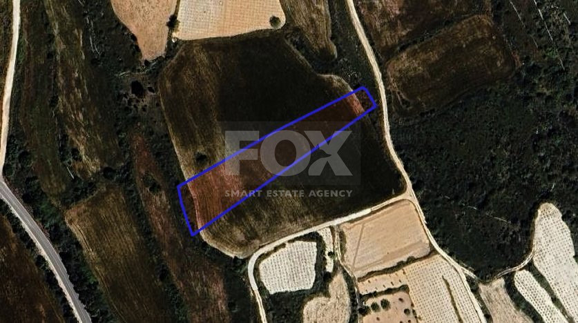 Agricultural land in Kathikas