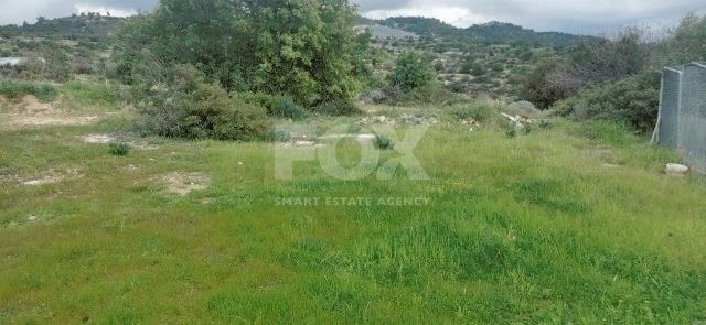 Agricultural land for sale in Parekklisia, Limassol
