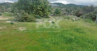 Agricultural land for sale in Parekklisia, Limassol