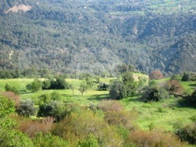 Land For Sale In Pafos Paphos Cyprus