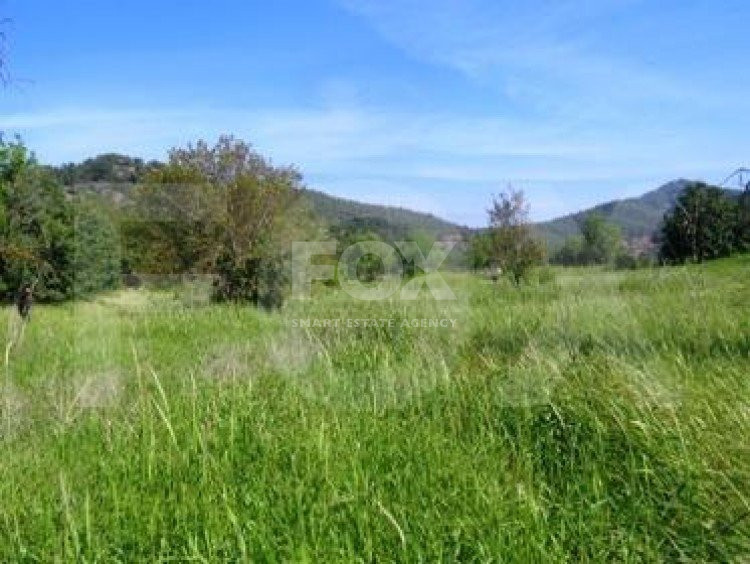 Land For Sale In Pafos Paphos Cyprus