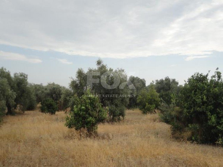 Plot For Sale In Kolossi Limassol Cyprus