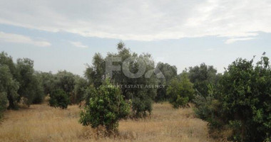 Plot For Sale In Kolossi Limassol Cyprus