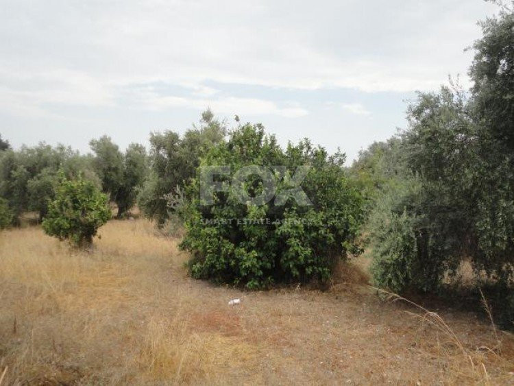Plot For Sale In Kolossi Limassol Cyprus