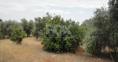 Plot For Sale In Kolossi Limassol Cyprus